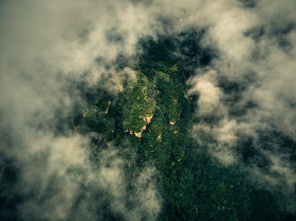 Énergie verte : solutions pour réduire vos factures domestiques